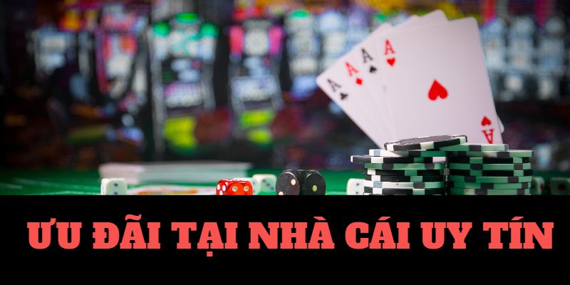 v9bet-Xem trận đấu ngay tại nhà - Trực tiếp bóng đá! v9bet-Xem trận đấu ngay tại nhà - Trực tiếp bóng đá!